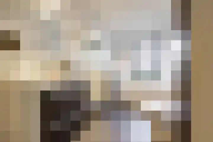 Kerkuil 32 Bedum thumbnail 45