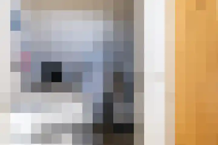 Kerkuil 32 Bedum thumbnail 51