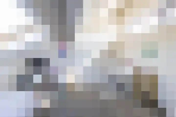 Kerkuil 32 Bedum thumbnail 54
