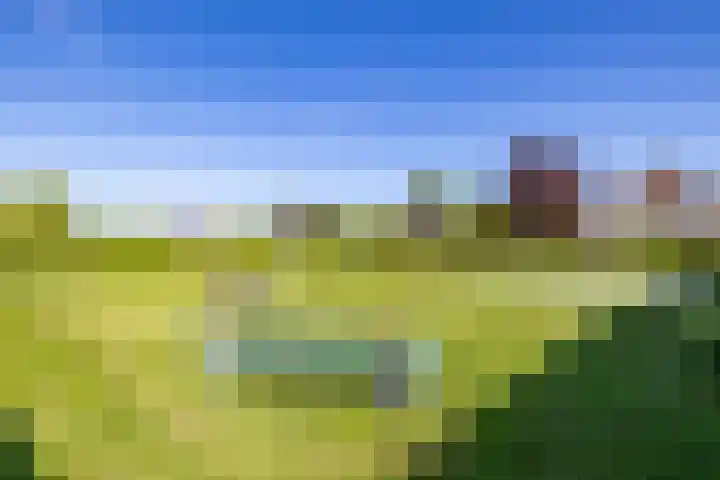 Kerkuil 32 Bedum thumbnail 56