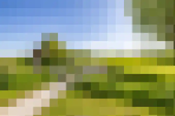 Kerkuil 32 Bedum thumbnail 59
