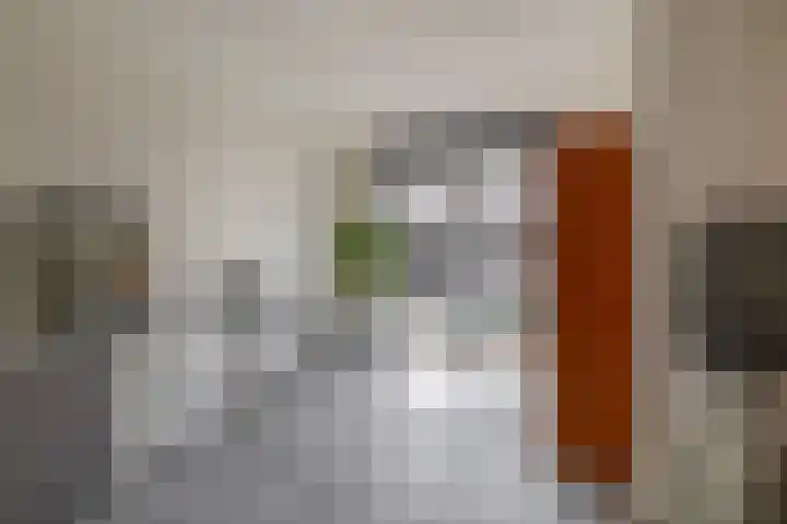 Kerkuillande 43 Pijnacker thumbnail 12