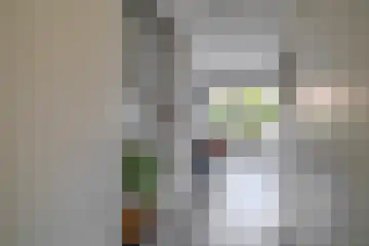 Kerkuillande 43 Pijnacker thumbnail 13