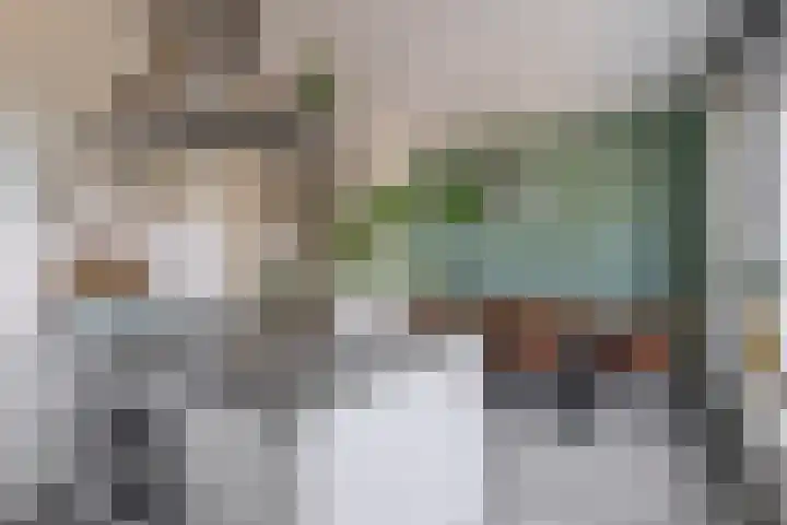 Kerkuillande 43 Pijnacker thumbnail 14