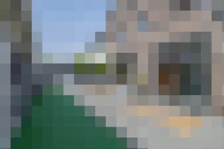 Kerkuillande 43 Pijnacker thumbnail 22