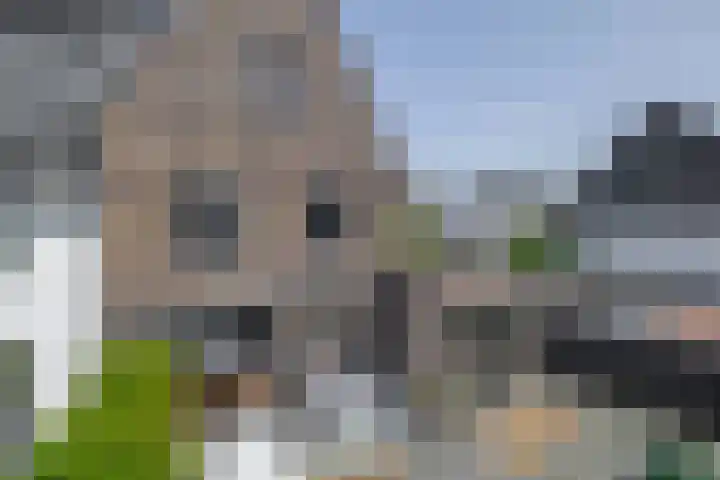 Kerkuillande 43 Pijnacker thumbnail 23