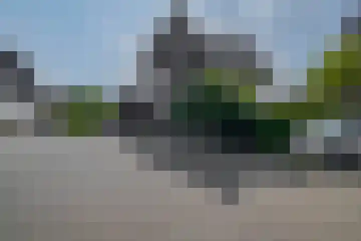 Kerkuillande 43 Pijnacker thumbnail 45