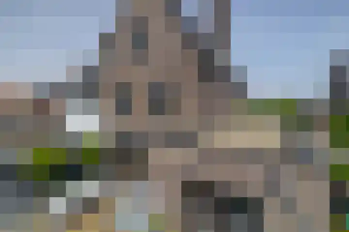 Kerkuillande 43 Pijnacker thumbnail 46