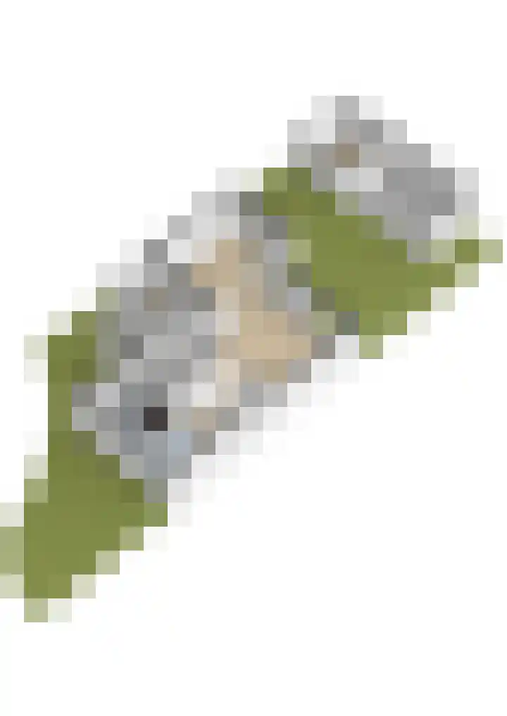 Kerkuillande 43 Pijnacker thumbnail 54