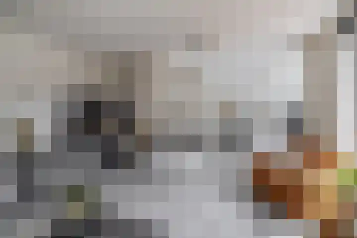 Kerkuillande 43 Pijnacker thumbnail 8