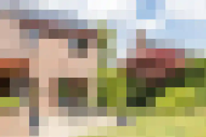 Kerkveld 2 Schimmert thumbnail 33