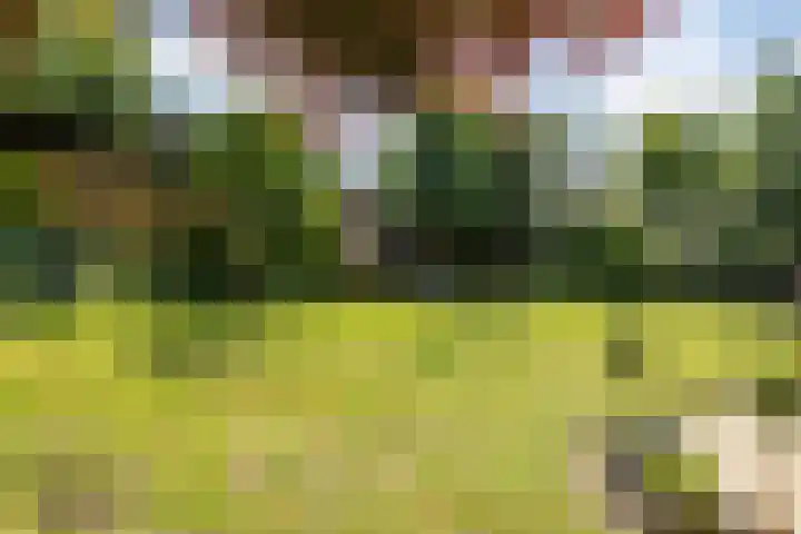 Kerkveld 2 Schimmert thumbnail 35