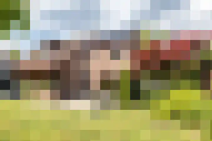Kerkveld 2 Schimmert thumbnail 36