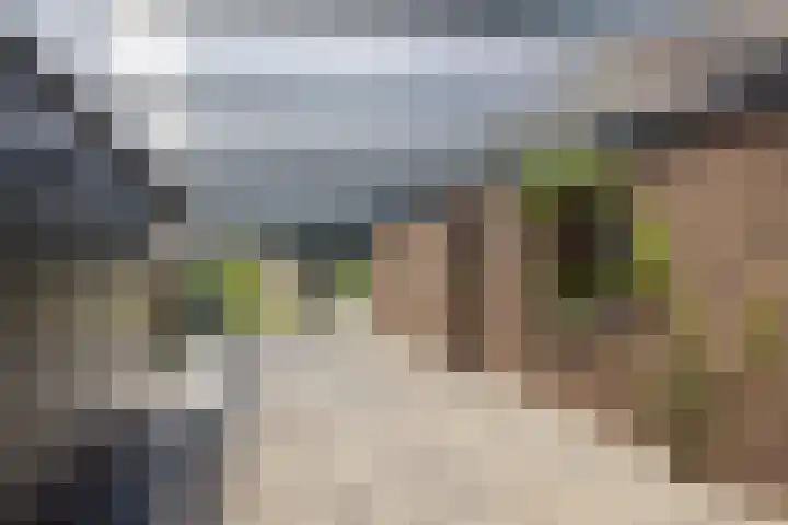 Kerkveld 2 Schimmert thumbnail 38