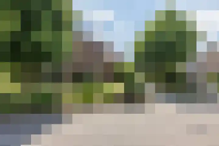 Kerkveld 2 Schimmert thumbnail 40