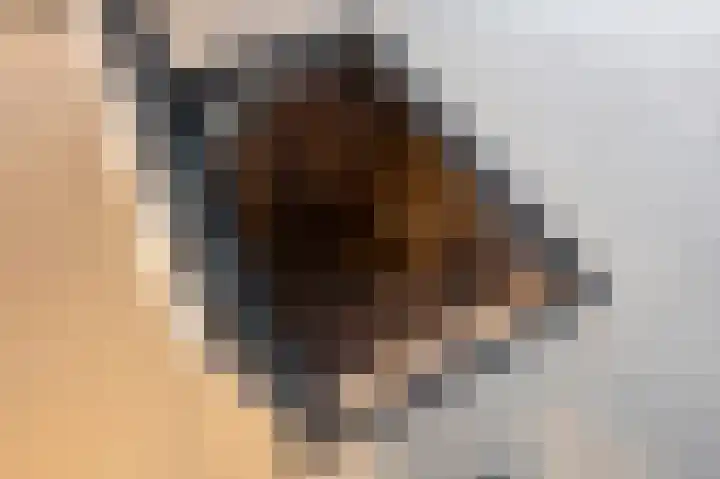 Kerkvonderen 1 Buchten thumbnail 24