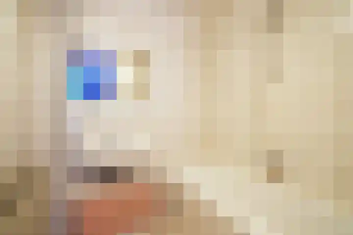 Kerkvonderen 46 Buchten thumbnail 13