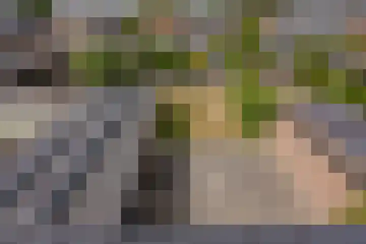Kerkweg 13 Malden thumbnail 39