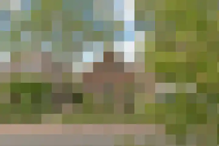 Kerkweg 133 in Lekkerkerk