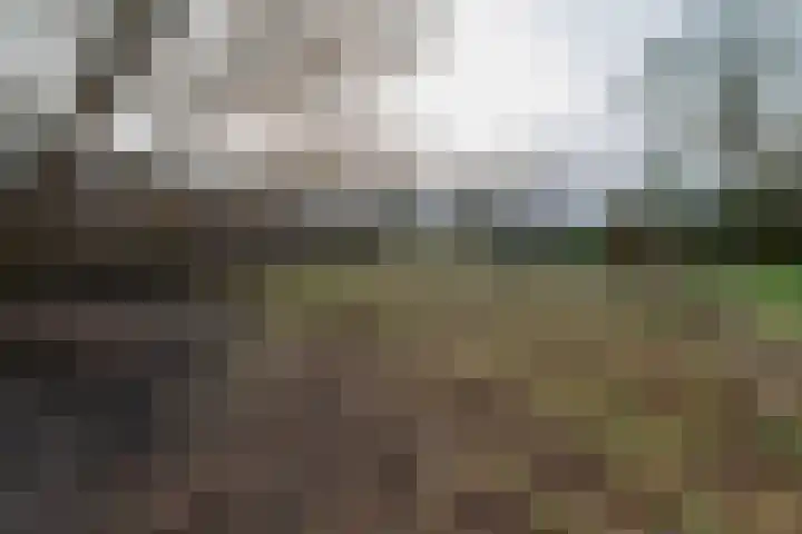 Kerkweg 137 Puth thumbnail 16