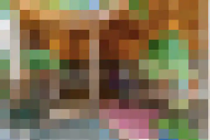 Kerkweg 15 Limmen thumbnail 4