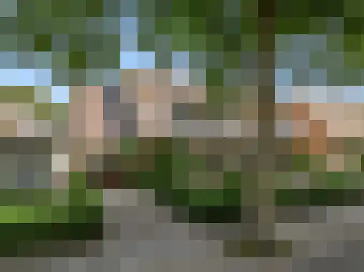 Kerkweg 15 Limmen thumbnail 44