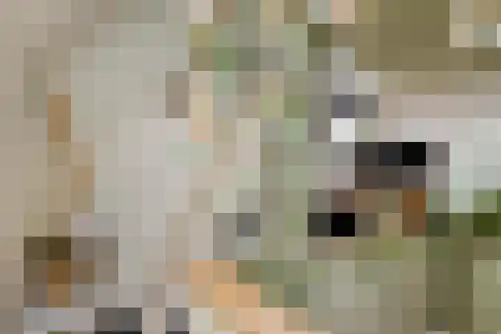 Kerkweg 159 Puth thumbnail 13