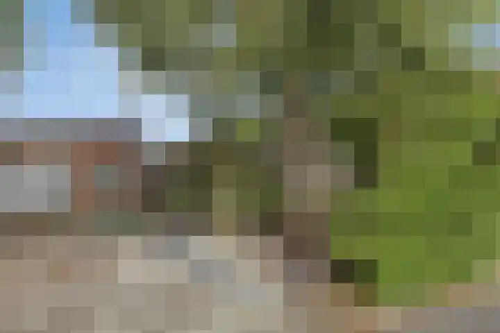 Kerkweg 18 Leek thumbnail 19