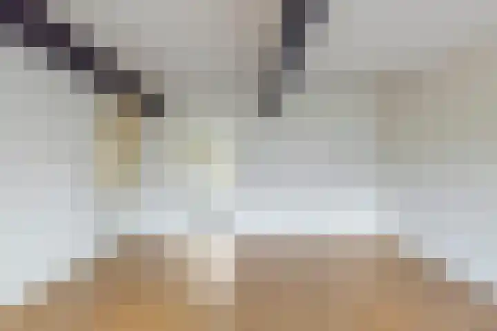 Kerkweg 18 Leek thumbnail 6