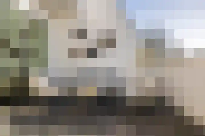 Kerkweg 2 Schelluinen thumbnail 22