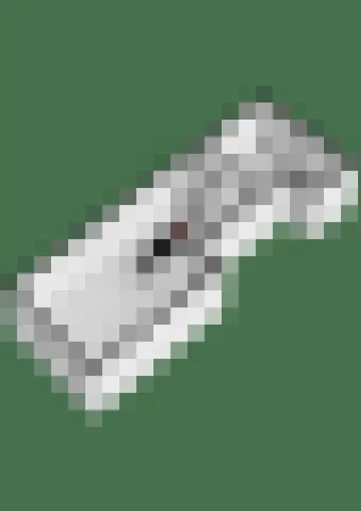 Kerkweg 2 Schelluinen thumbnail 28