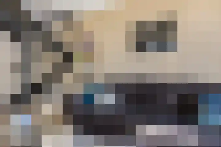 Kerkweg 2 Schelluinen thumbnail 8