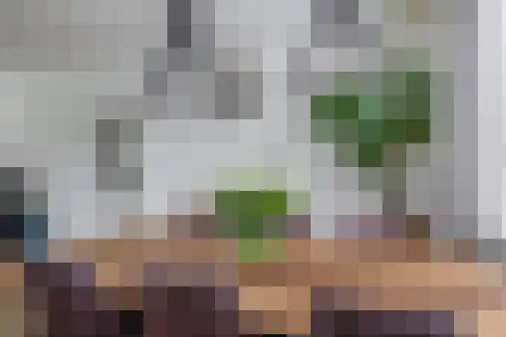 Kerkweg 235 Ridderkerk thumbnail 14