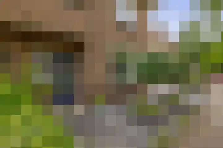 Kerkweg 235 Ridderkerk thumbnail 6