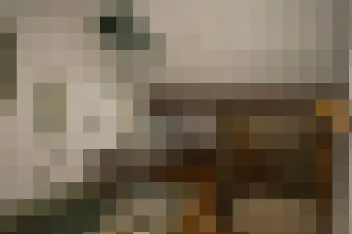 Kerkweg 26 Zeddam thumbnail 45