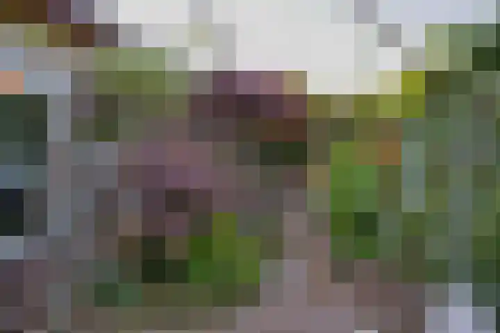Kerkweg 26 Zeddam thumbnail 50