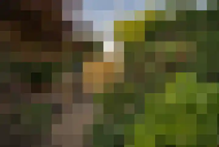 Kerkweg 26 Zeddam thumbnail 52
