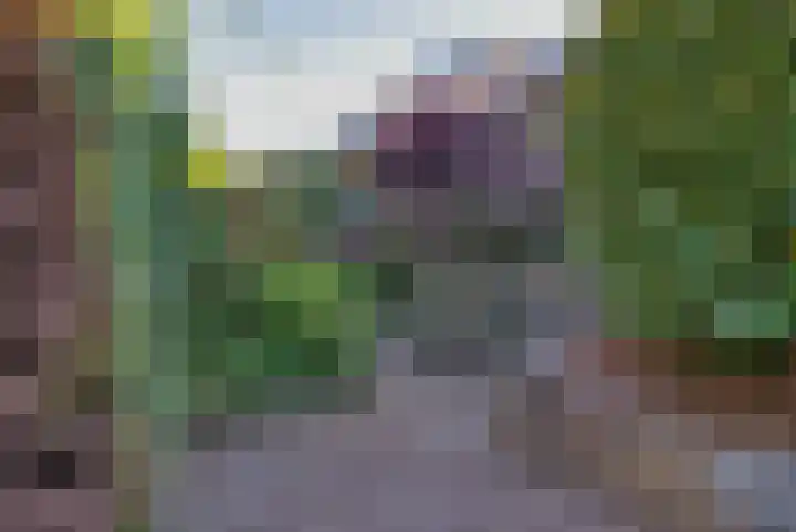 Kerkweg 26 Zeddam thumbnail 53