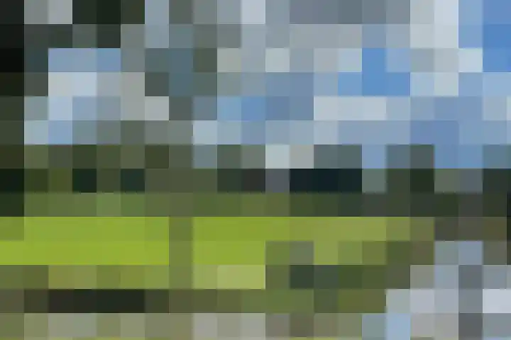 Kerkweg 28 b Cothen thumbnail 17