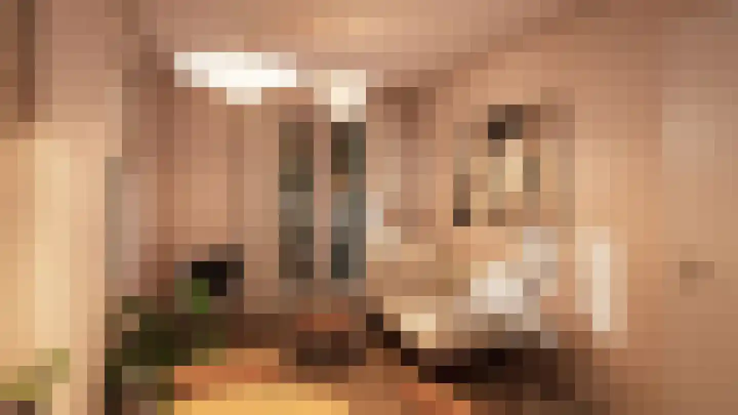 Kerkweg 28 b Cothen thumbnail 7