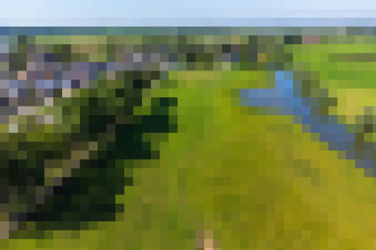Kerkweg 28 d Cothen thumbnail 10