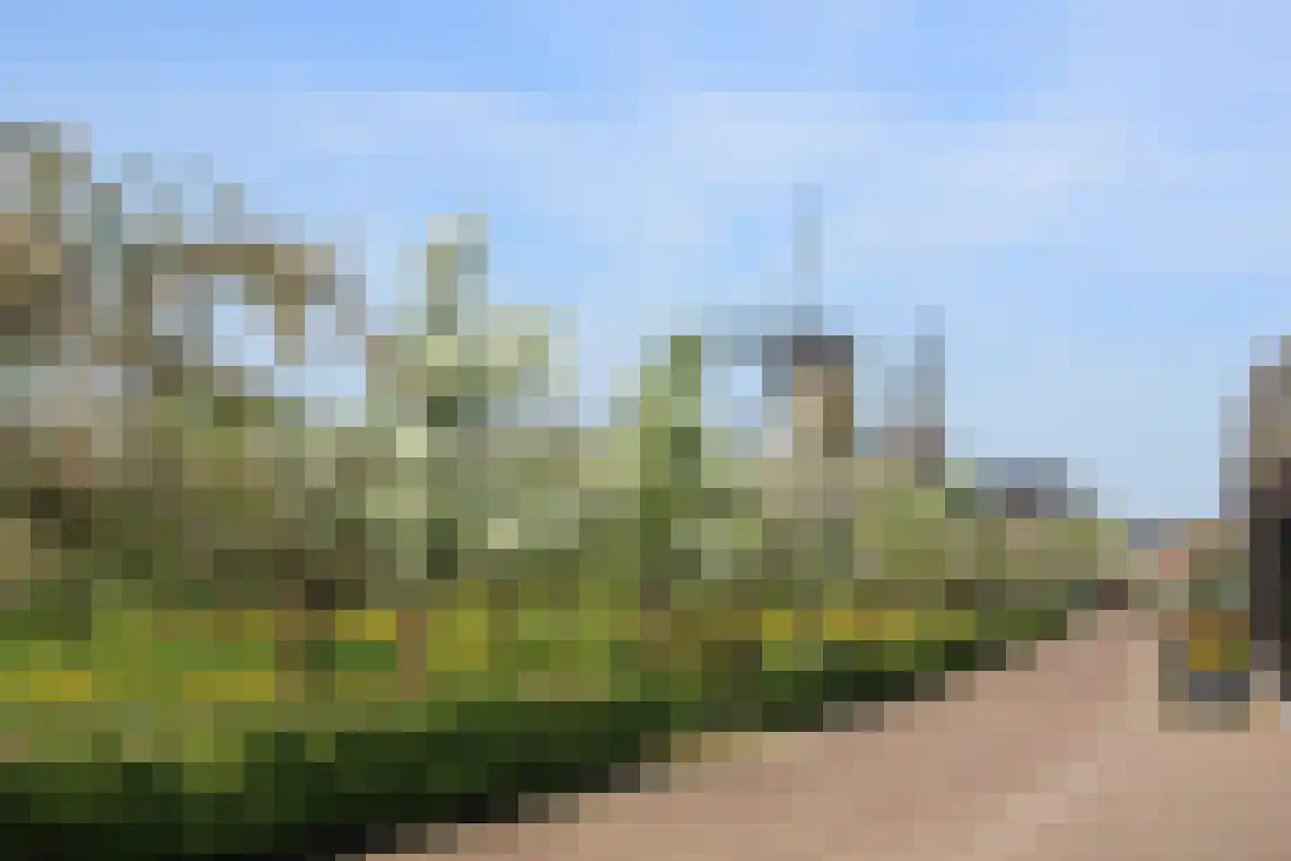 Kerkweg 28 d Cothen thumbnail 13