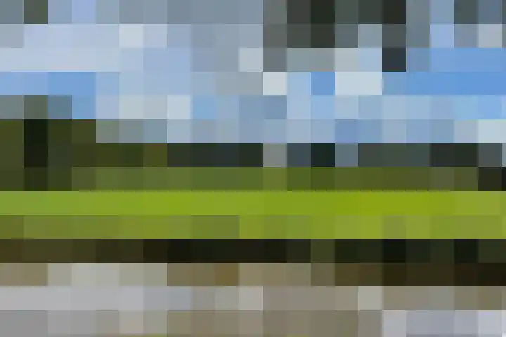 Kerkweg 28 d Cothen thumbnail 15