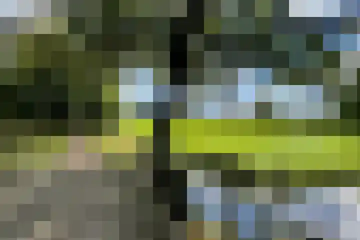 Kerkweg 28 d Cothen thumbnail 16