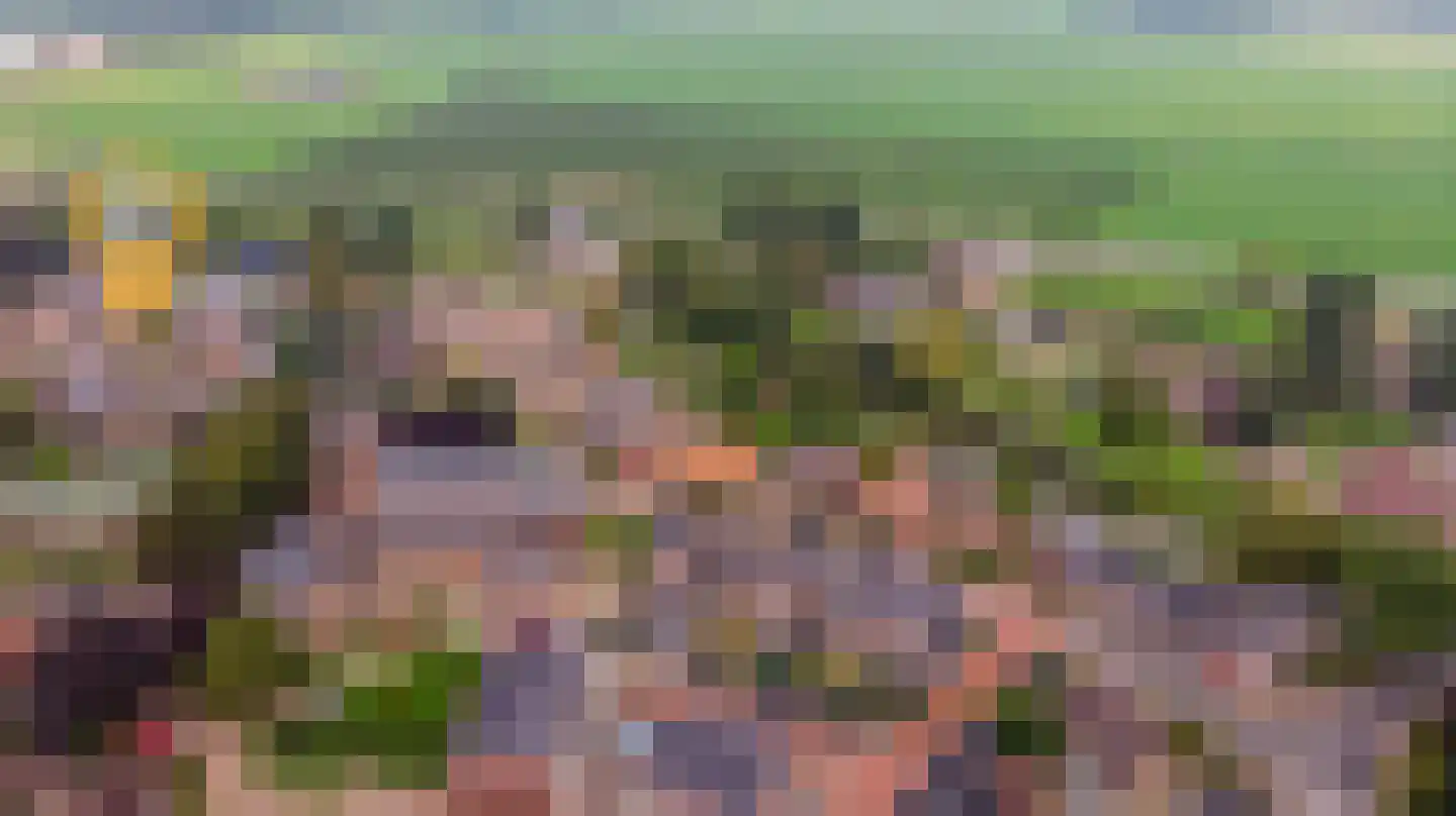 Kerkweg 28 d Cothen thumbnail 8
