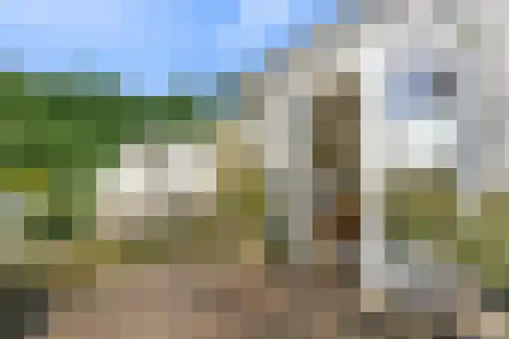 Kerkweg 3 Zeist thumbnail 24