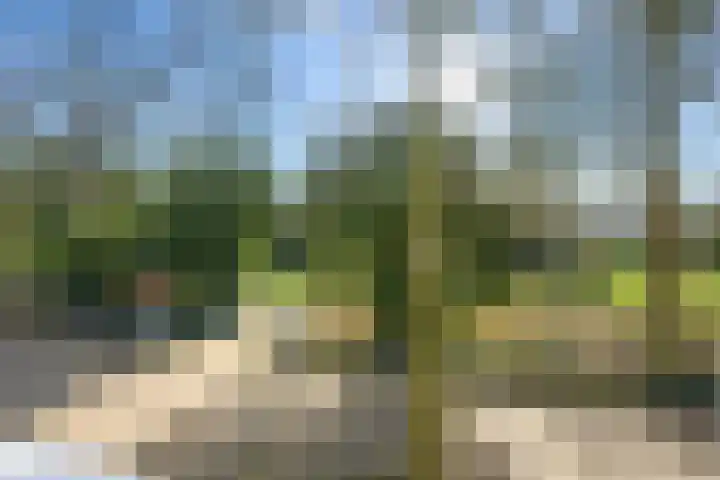 Kerkweg 3 Zeist thumbnail 35
