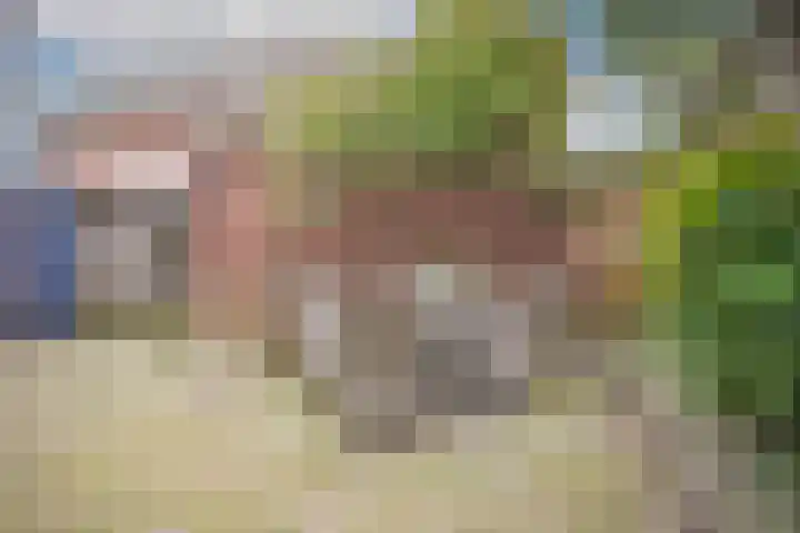 Kerkweg 35 Afferden thumbnail 54