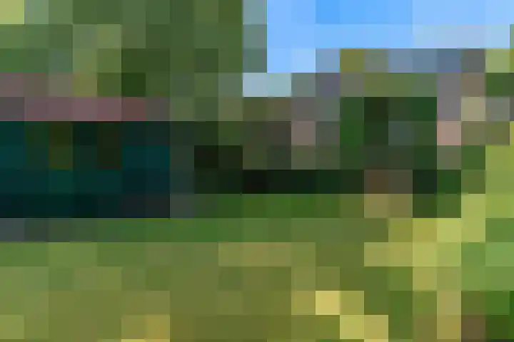 Kerkweg 35 Limmen thumbnail 4