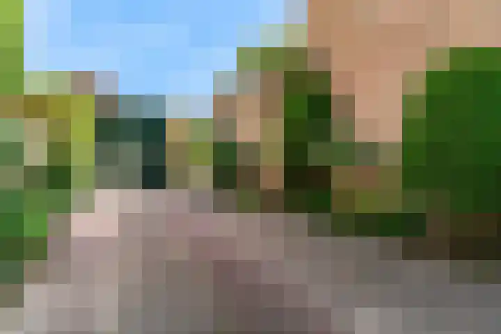 Kerkweg 35 Limmen thumbnail 41